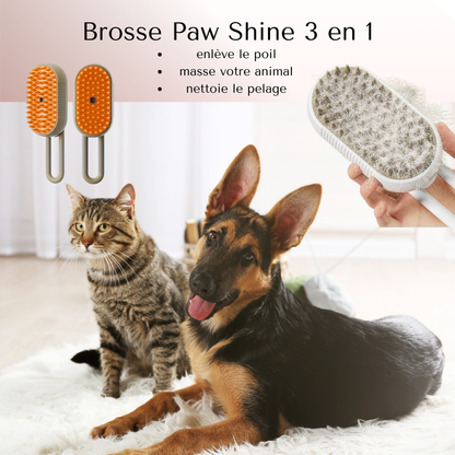 Brosse Vapeur Paw Shine pour chat et chien