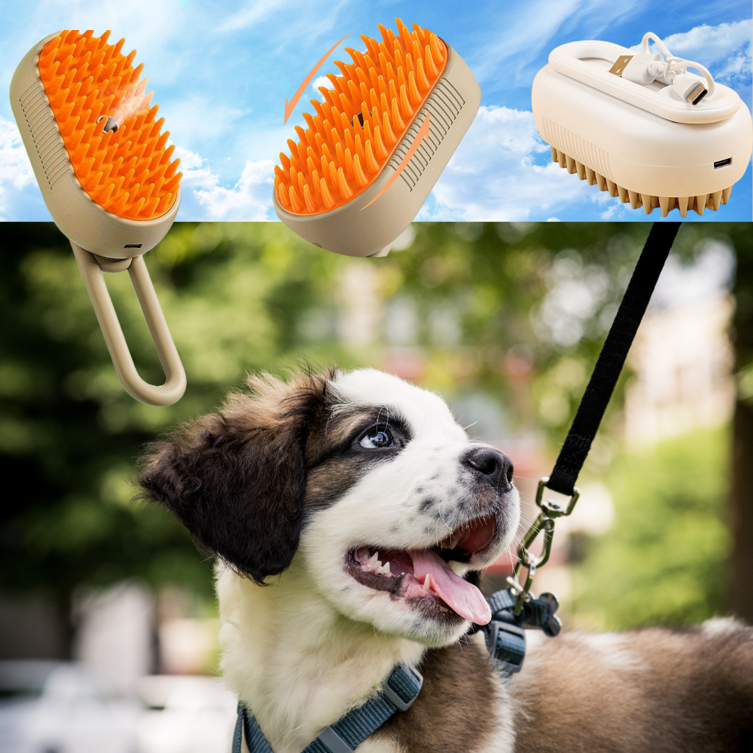 Brosse Vapeur Paw Shine pour chat et chien